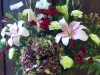 Sympathy 14