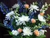 Sympathy 38 $129.99