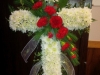 Sympathy 36 $124.99