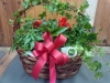 Garden Basket 1 $100.00