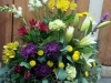 Sympathy 29