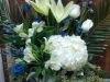 Sympathy 31 $60.00
