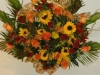Sympathy 24