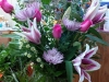 Sympathy 15