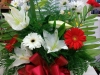 Sympathy 9