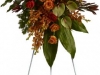 Tropical Tribute