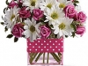 Polka Dots and Posies