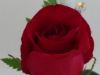 img_20140502_120633