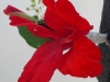 img_20140502_124309