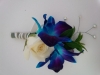 img_20140502_171623
