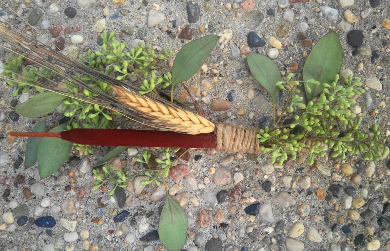boutonniere: wheat, seeded eucalyptus, cattail