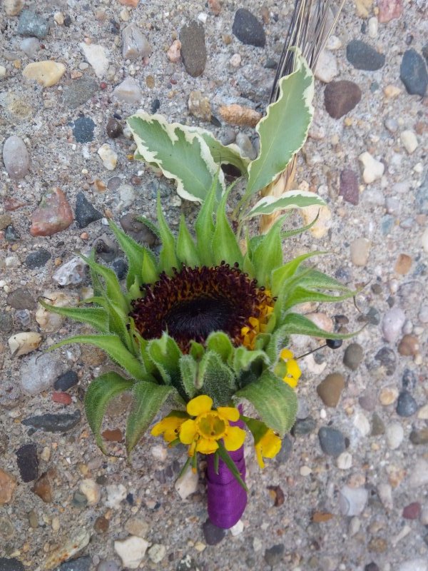 Sunflower Boutonniere with yellow wax