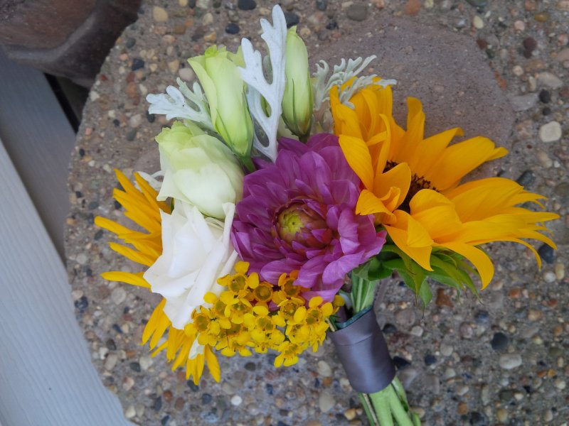 hand-tied bouquet: sunflowers, yellow wax, lisianthus, dahlia