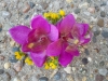 headpiece: silk orchid with yellow wax