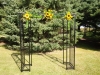 Fresh sunflower arrangements on arbor