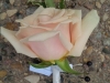 Boutonniere of blush colored rose