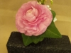 fresh corsage: ranunculus, ivy