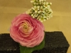 fresh pink ranunculus, ivy