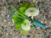 Corsage: Hydrangea pieces, white buttons, ribbon tufts, bears grass, stem wrapped in ribbon