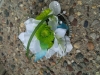 wristlet: hydrangea, bears grass, green buttons, bling pieces