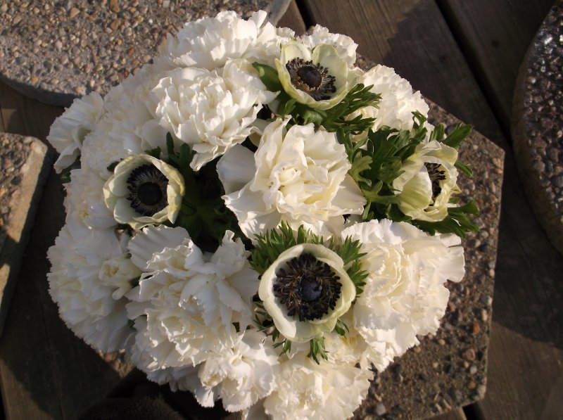 fresh bouquet of white anemones and white carnations