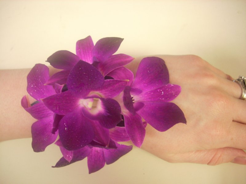 Orchid wrislet
