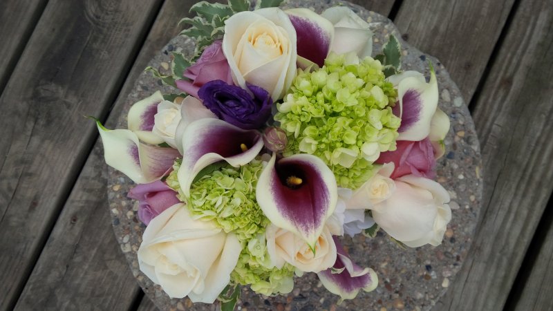 Fresh bouquet purple throat calla lilies, white roses, green hydrangeas, purple lizzy, purple roses, variegated mini pit